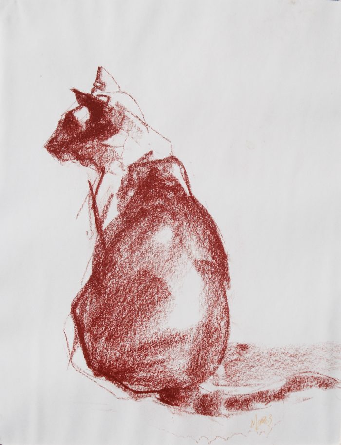 "Sitting Cat" by David 'Mouse' Cooper.