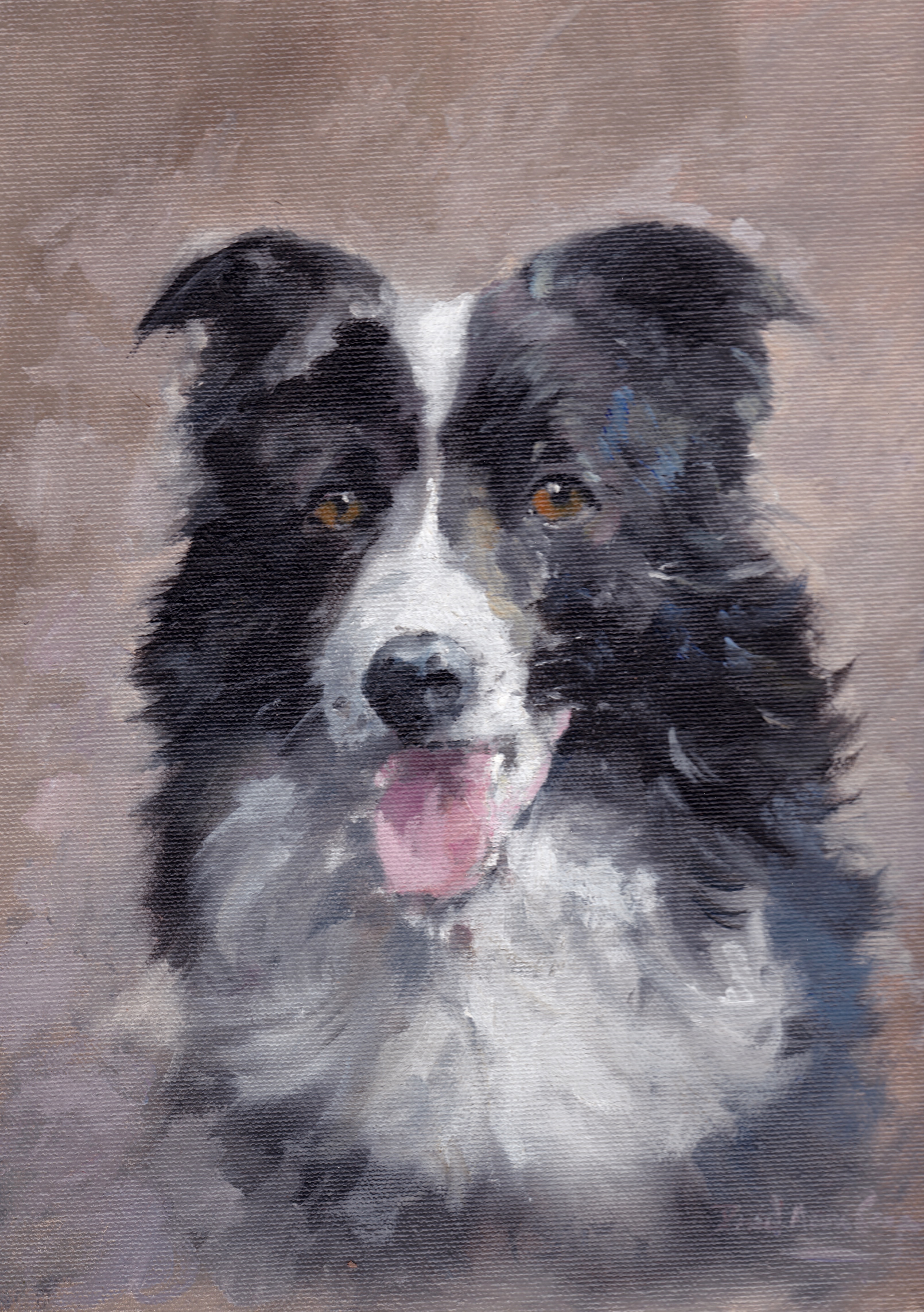 "Border Collie" by David 'Mouse' Cooper.