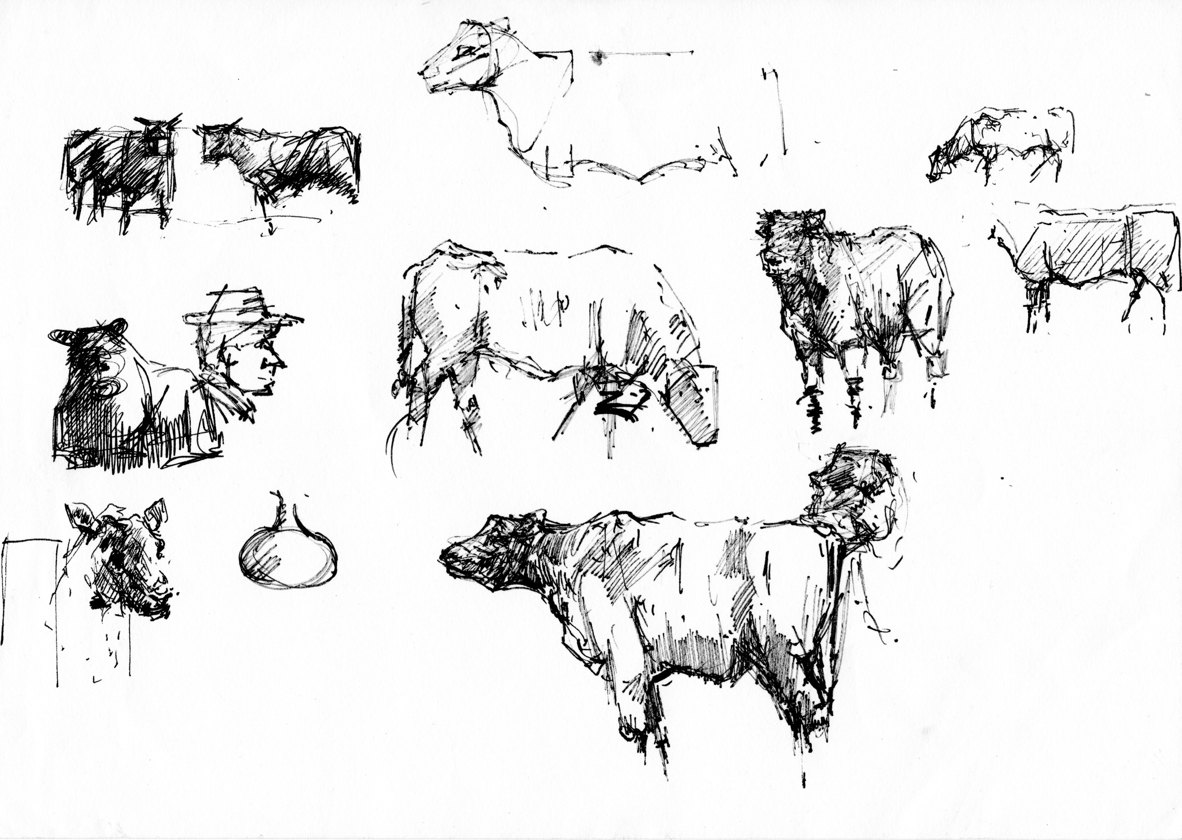 "Cattle Studies" by David 'Mouse' Cooper.
