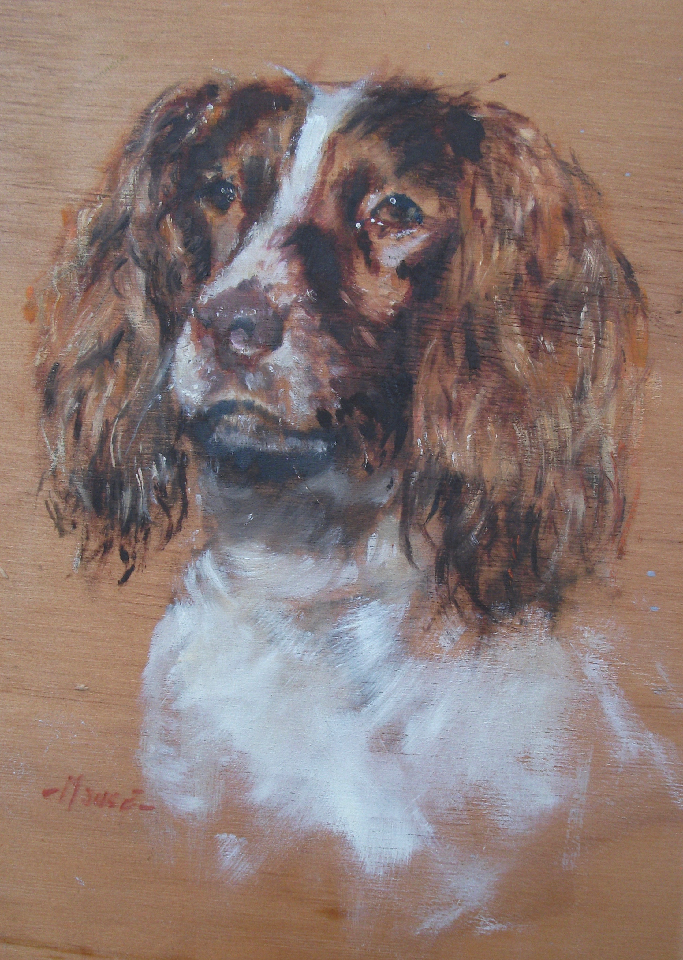 "Head of a Spaniel" by David 'Mouse' Cooper.